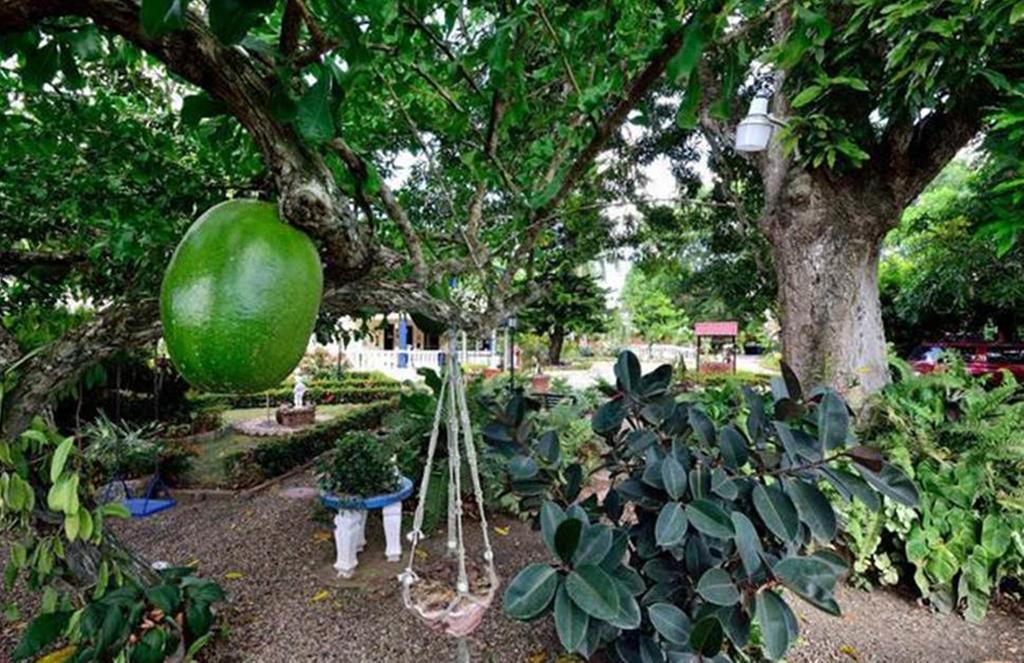 Hostel Sana El Jardin Secreto Santiago De Los Caballeros Zewnętrze zdjęcie